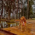 Debowe Zacisze - Mazury Дом отдыха Marozek