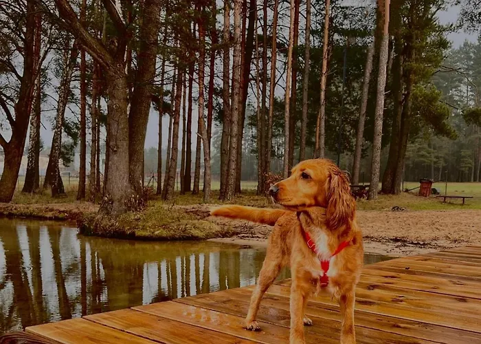 Debowe Zacisze - Mazury Prázdninový dům Marozek